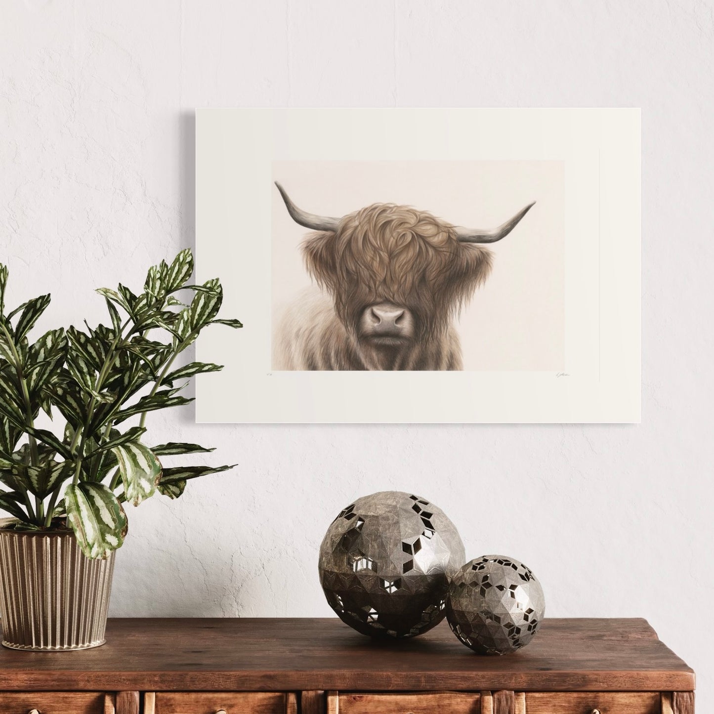 Highland Cow | Limited Edition Print