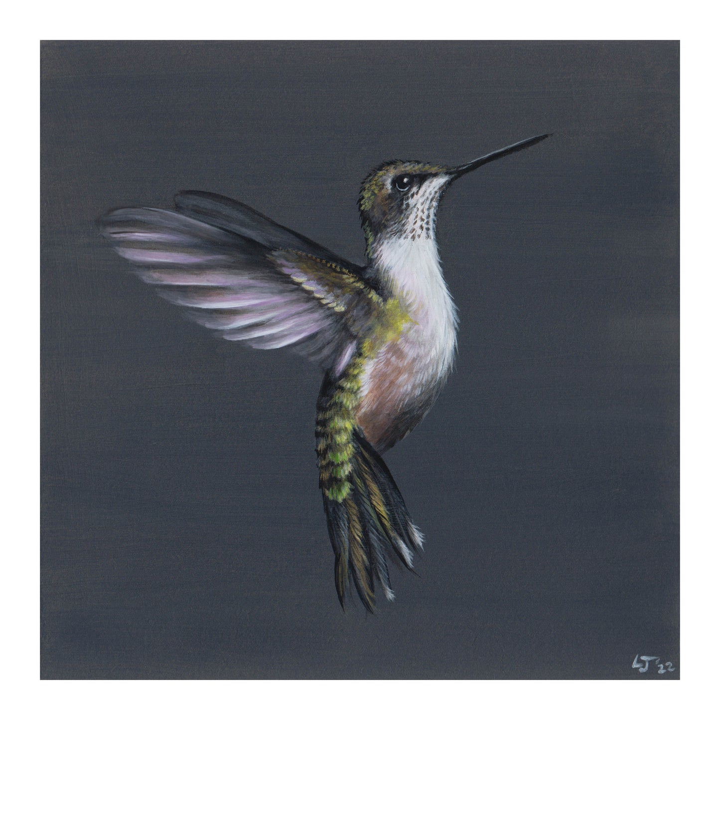 Little Jewels | Hummingbird on blue | Limited Edition Print