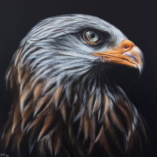 Rojo | Limited Edition Print