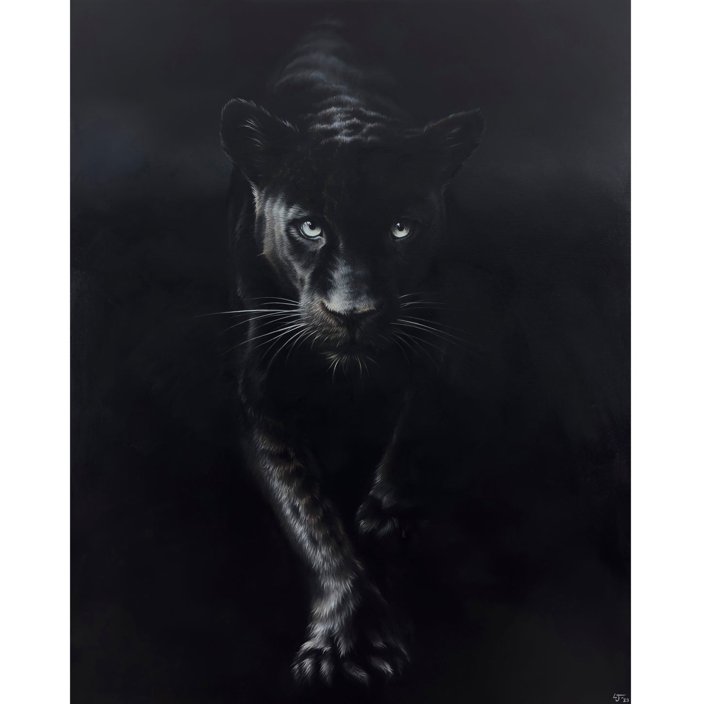 Shadow | Limited Edition Print
