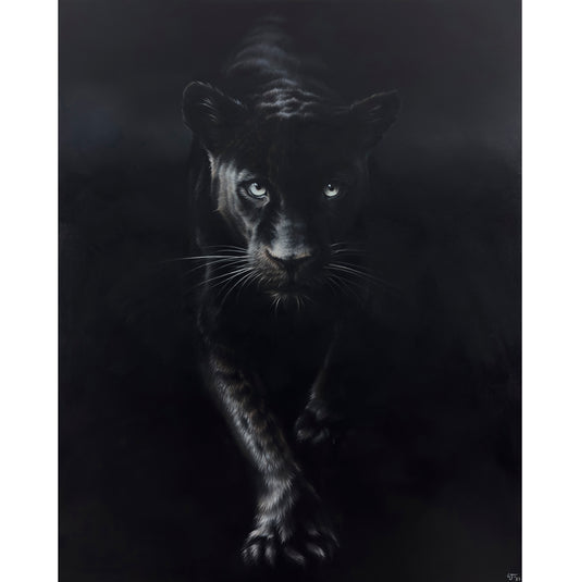 Shadow | Limited Edition Print