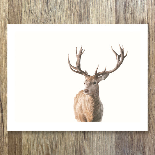 Golden Hour | Limited Edition Print