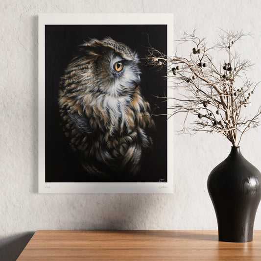 Merlin | Limited Edition Print