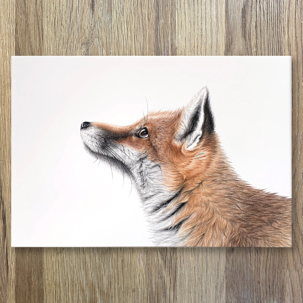 Fantastic Fox | Limited Edition Print