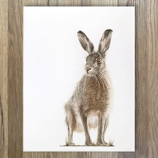 Hare Today | Limited Edition Print