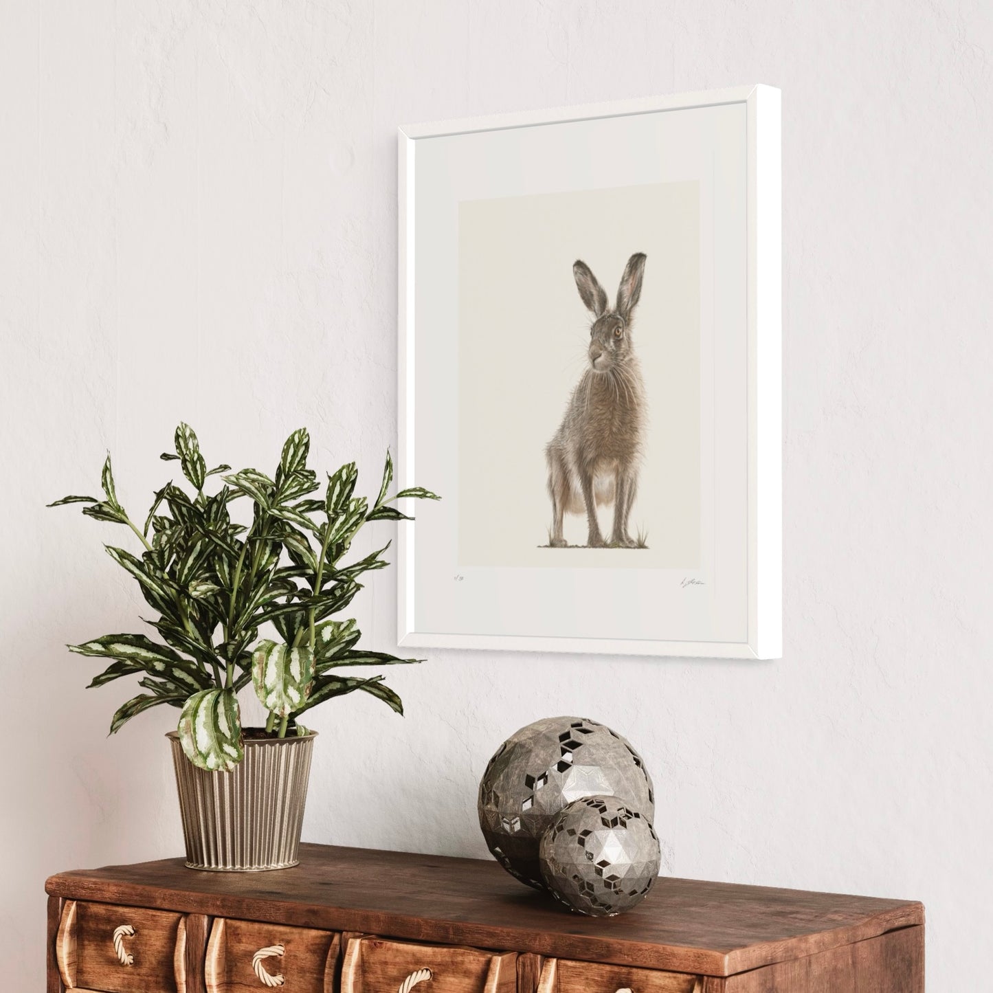 Hare Today | Limited Edition Print