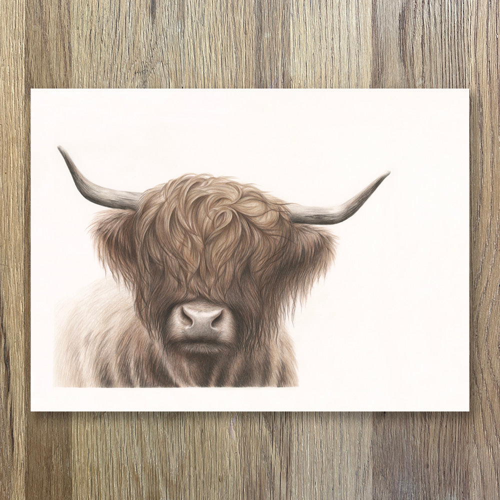 Highland Cow | Limited Edition Print