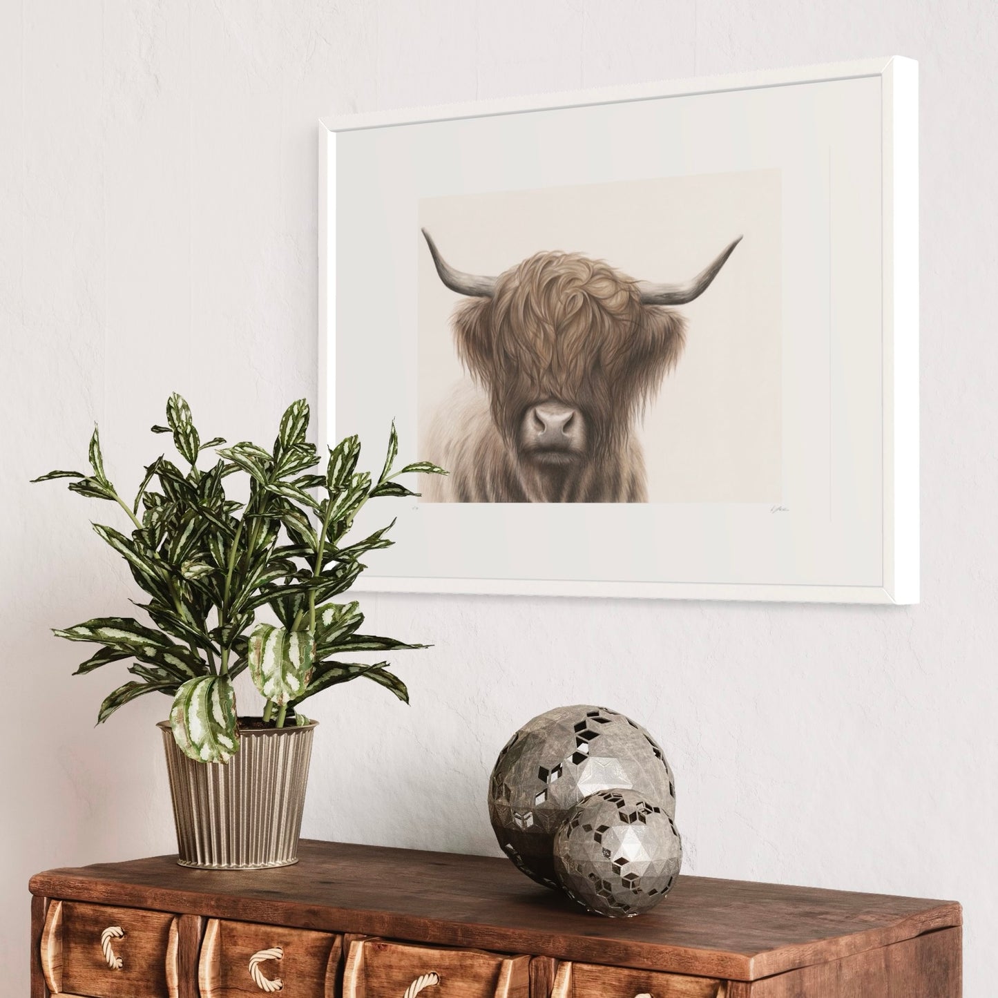 Highland Cow | Limited Edition Print