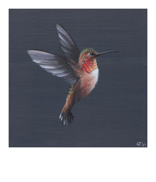 Little Jewels | Cape Cod series | Hummingbird on blue | Limited Edition Print