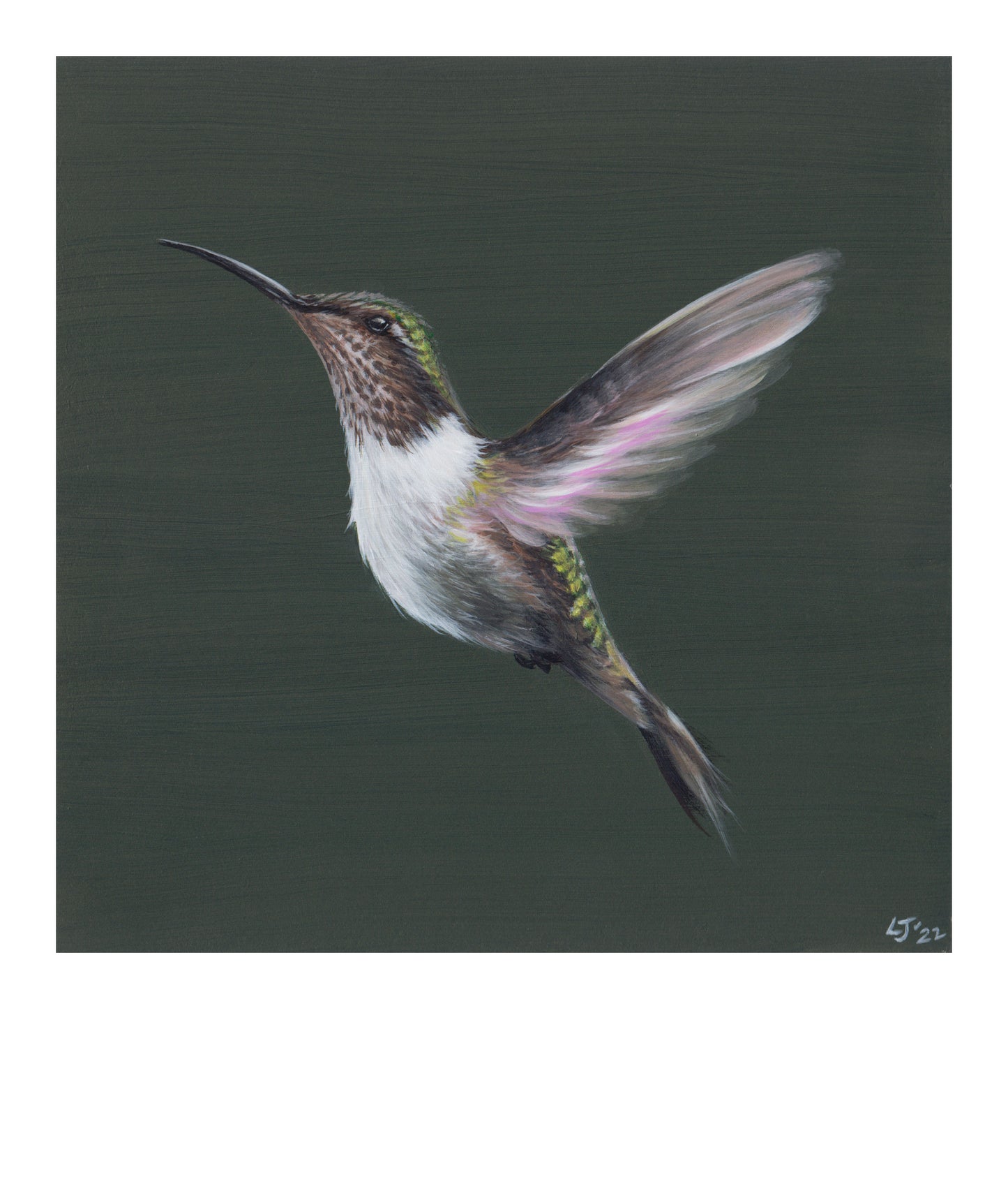Little Jewels | Hummingbird Trio | Limited Edition Prints | 8x8"