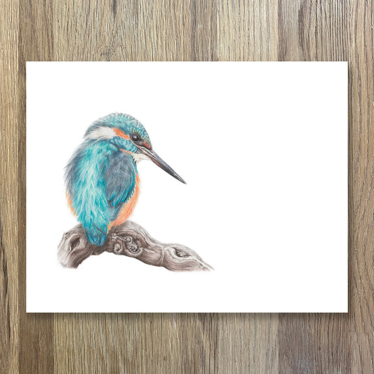 Kingfisher | Limited Edition Print | 8"x10"