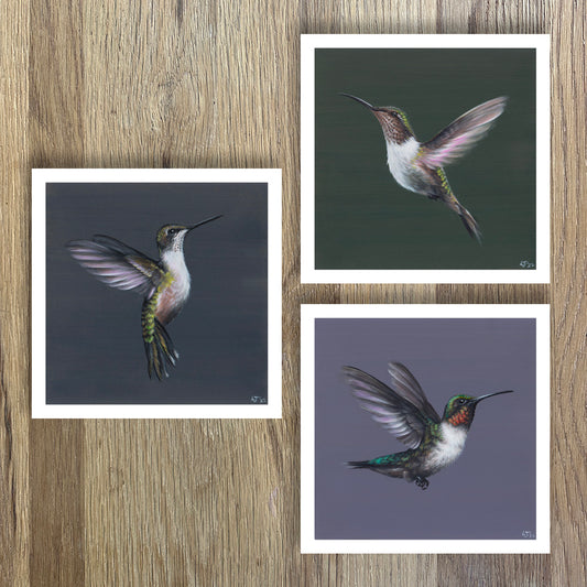 Little Jewels | Hummingbird Trio | Limited Edition Prints | 8x8"