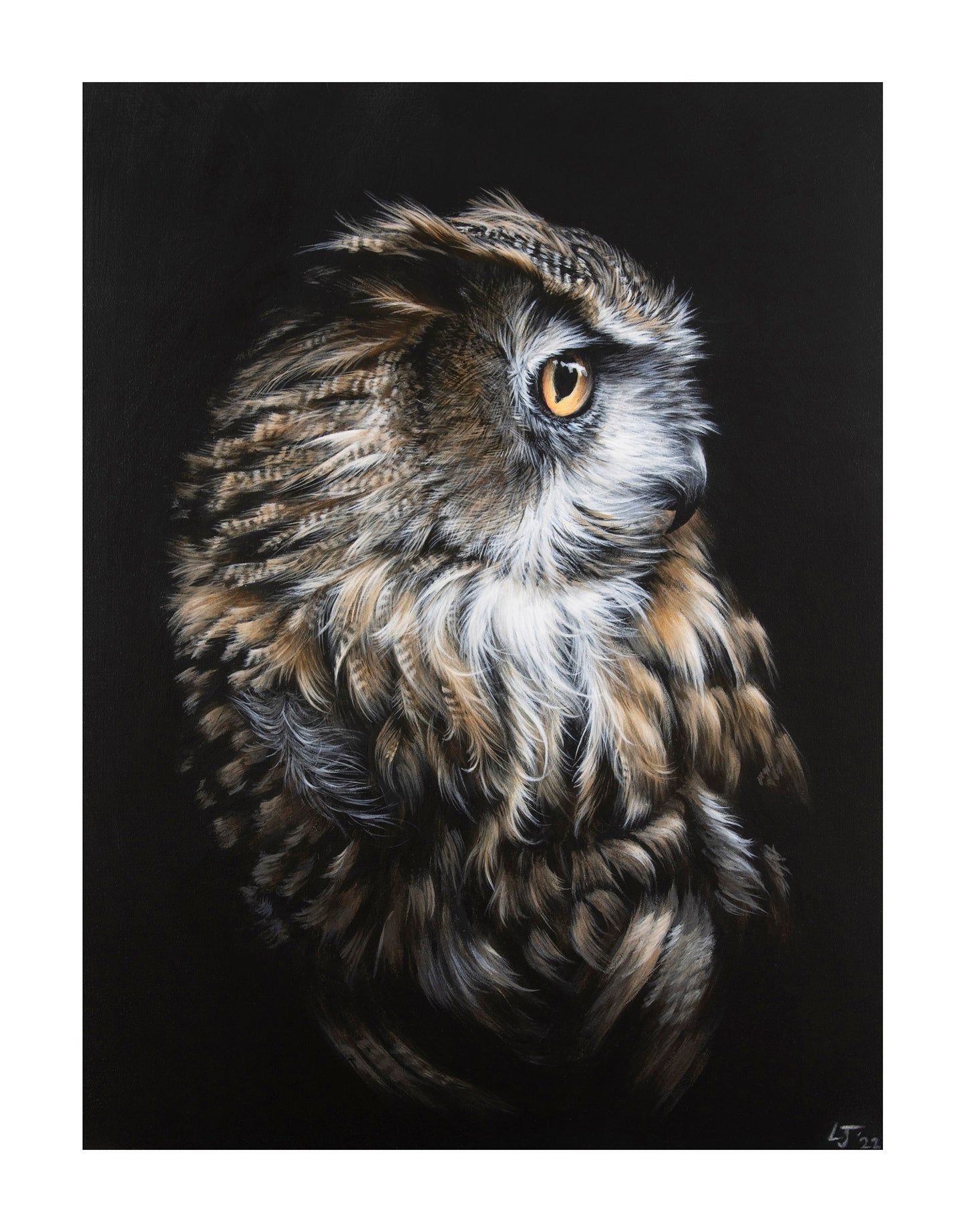 Merlin | Limited Edition Print